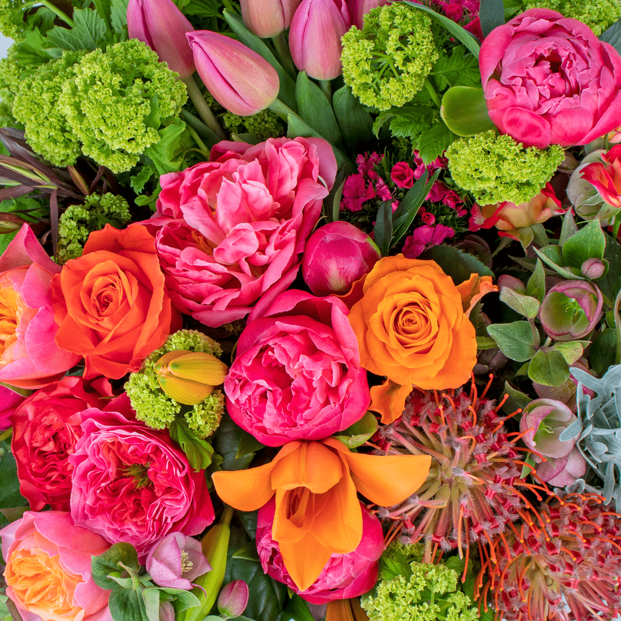 Florists Choice - Vibrant Colour Pallet